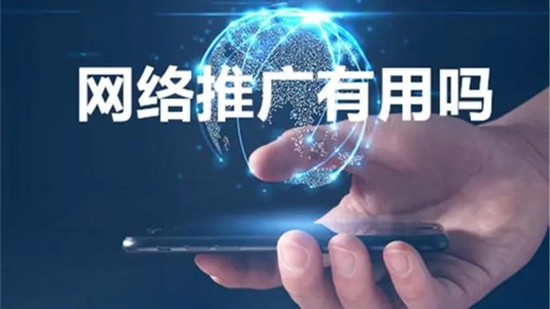 以下是一个网络营销公司加盟预算明细的示例：